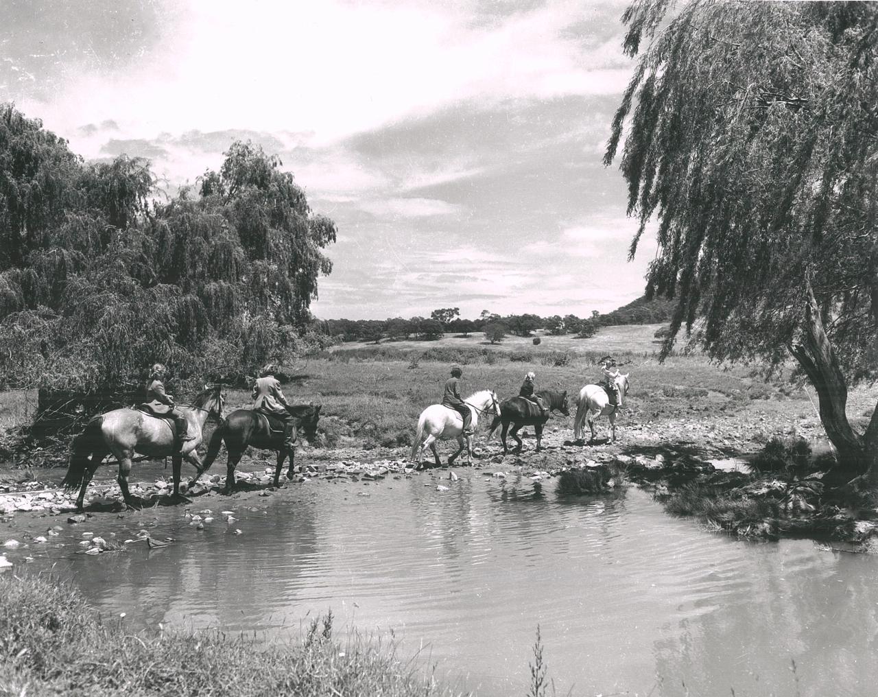 Five children riding across Sullivan's Creek Five children riding across Sullivan's Creek