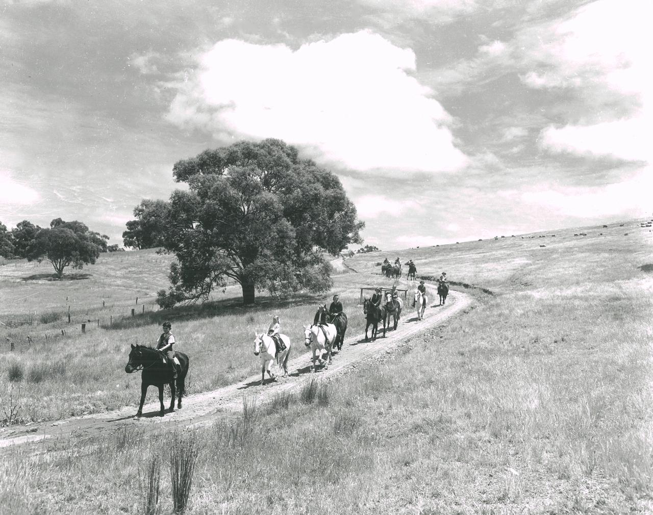 Large group of children riding towards Kaye's Dairy