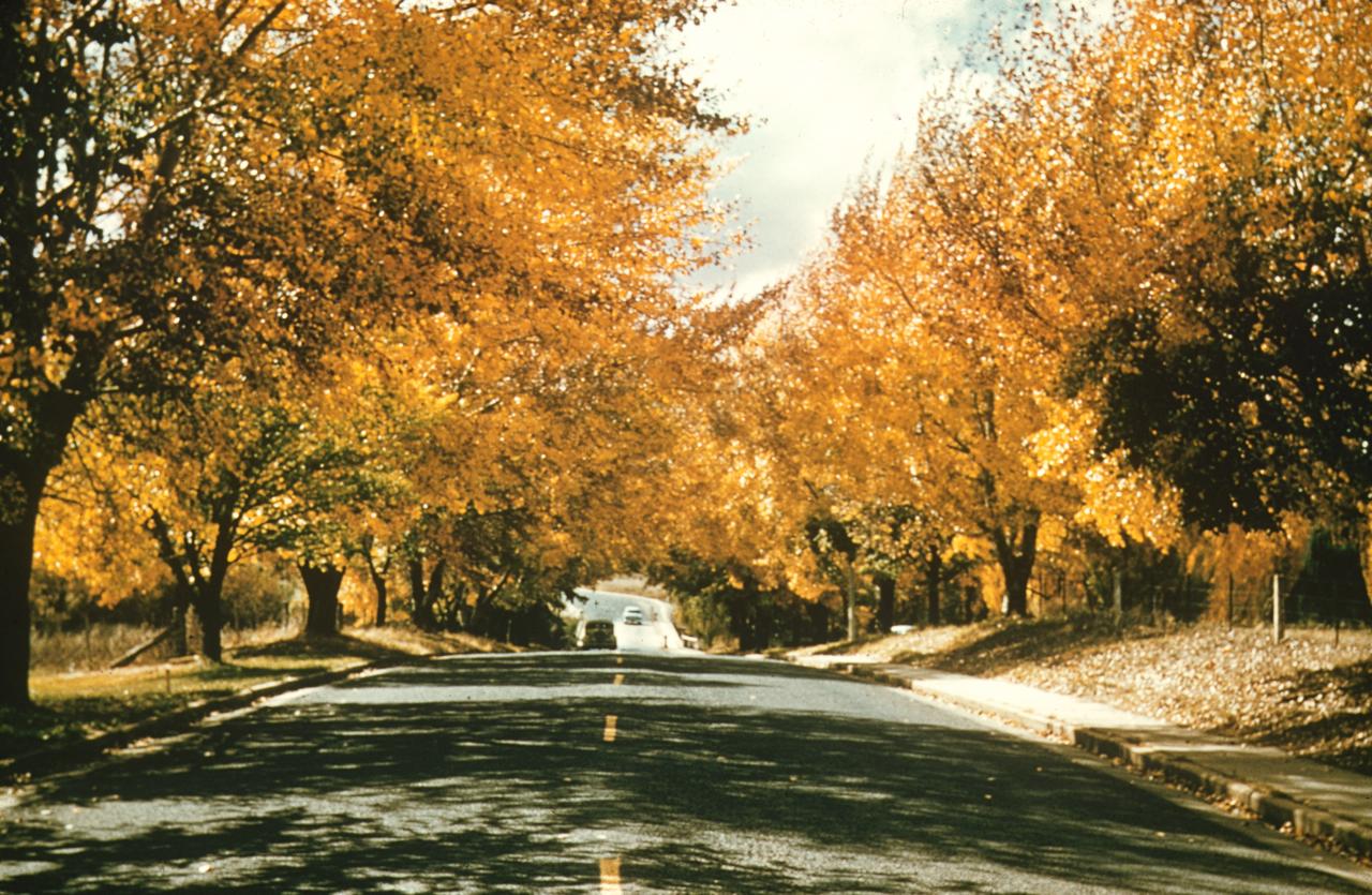 Driving down to Lennox Crossing in Autumn