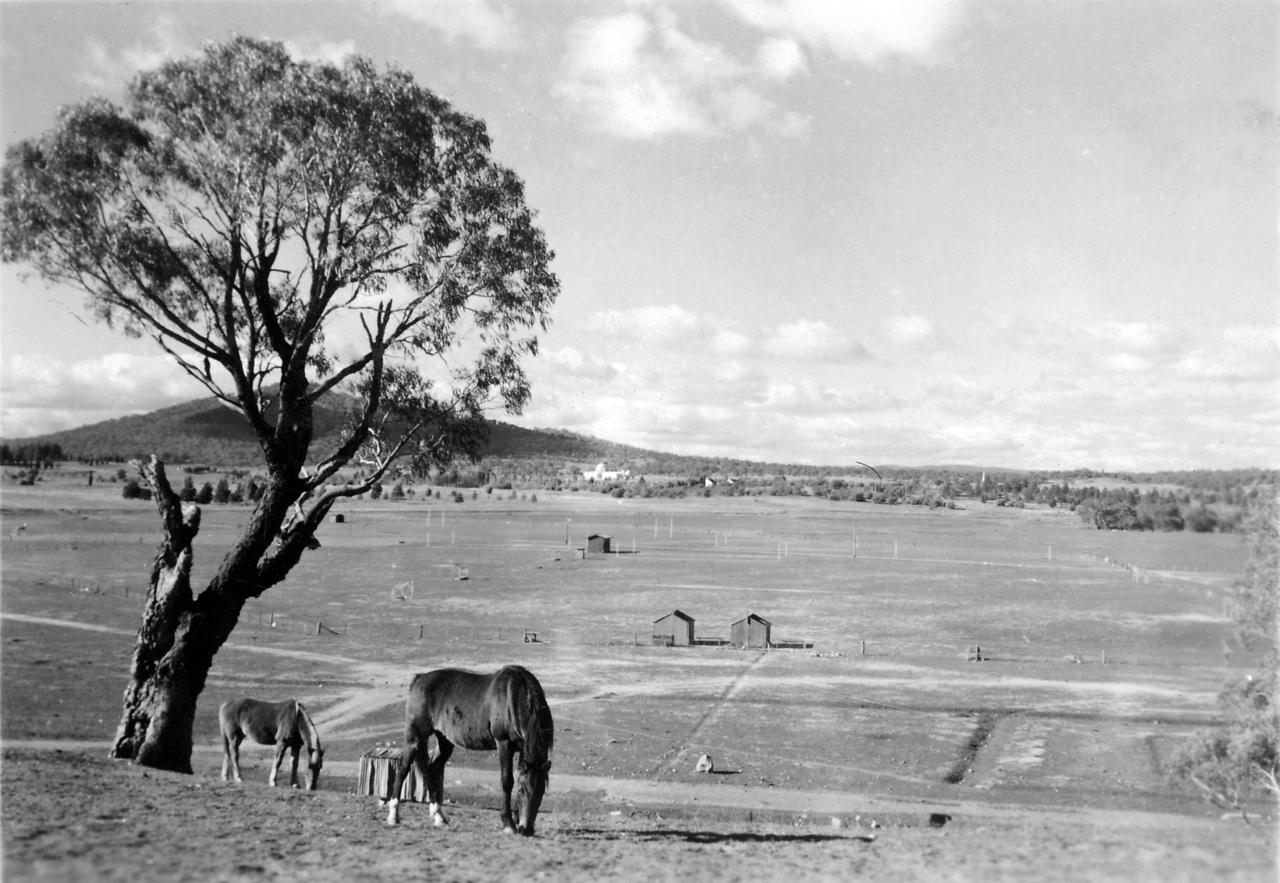 Acton flats with hockey fields and horses