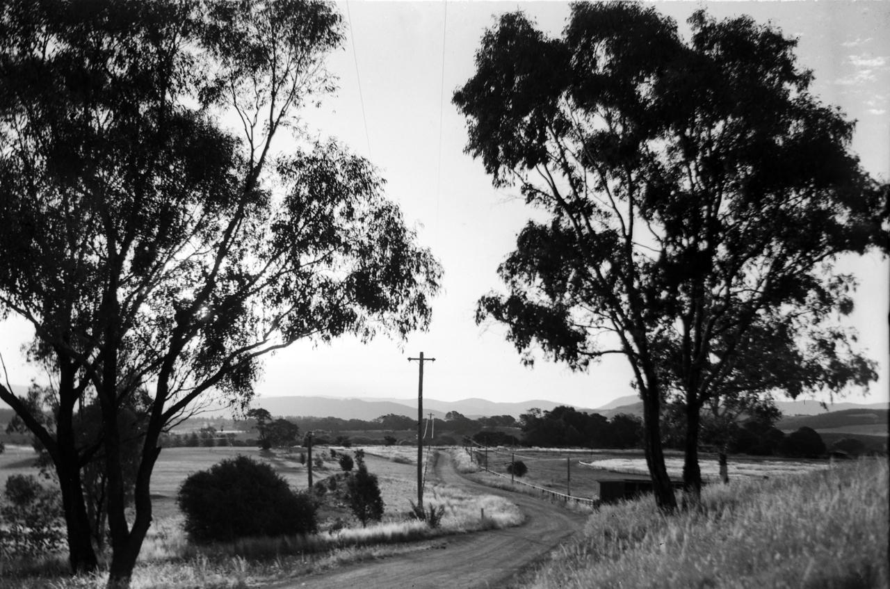 Road leading to Springbank