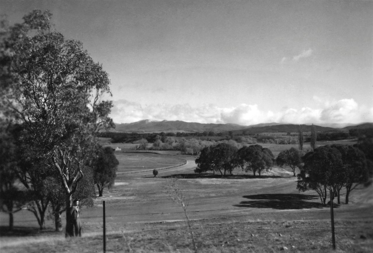 John Henshaw overlooking the racecourse 