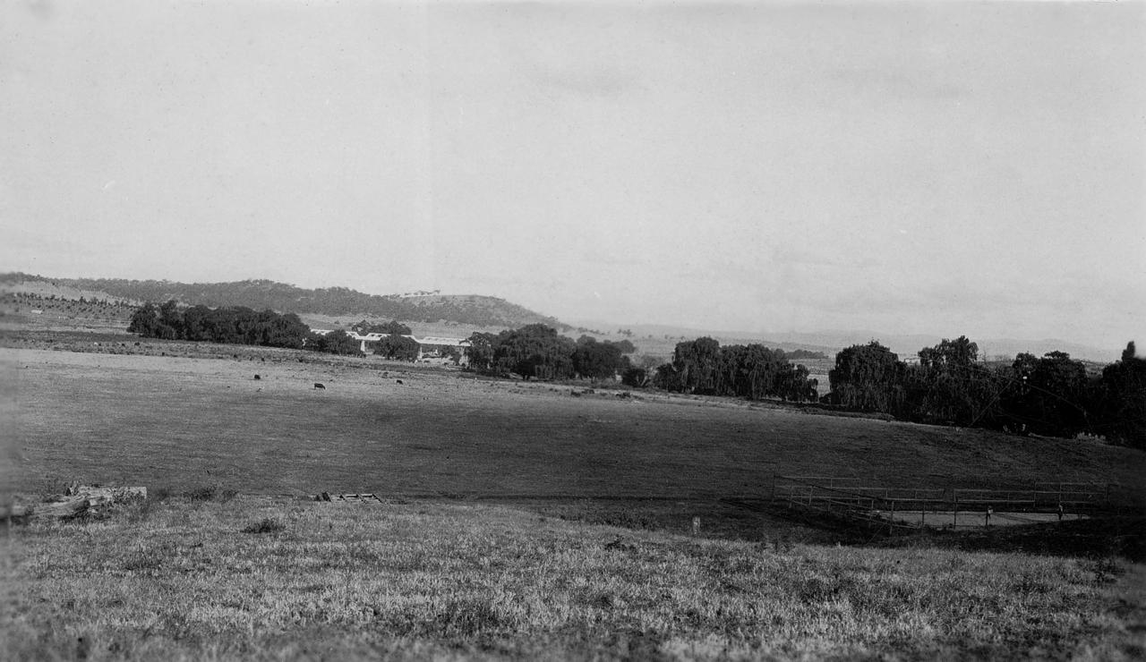 View across Acton flats towards old ‘billabong' bridge