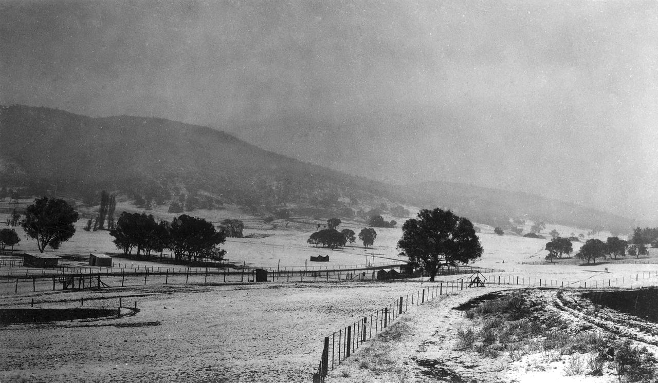 NW corner of the racecourse in snow (no. 1)