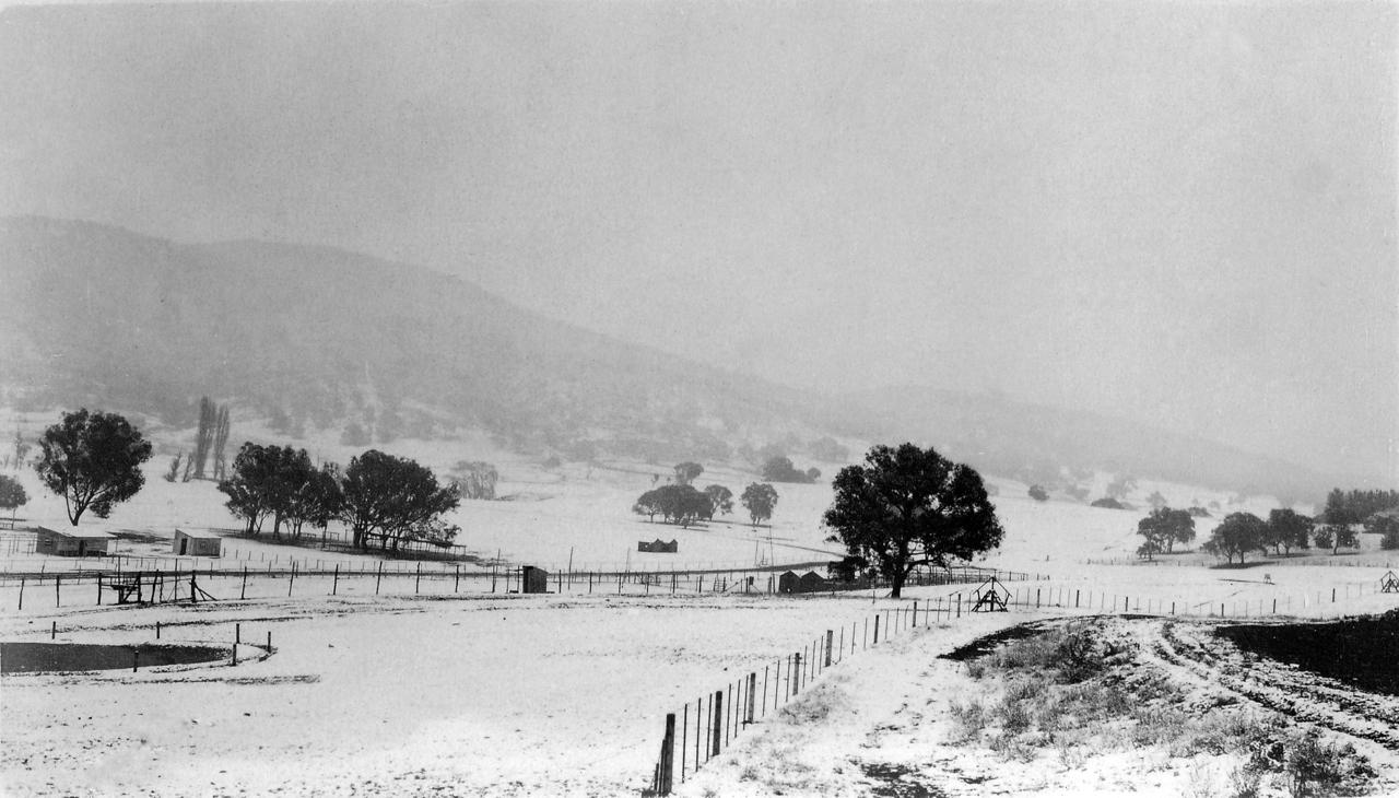 NW corner of the racecourse in snow with black Mountain in the background (no.2)