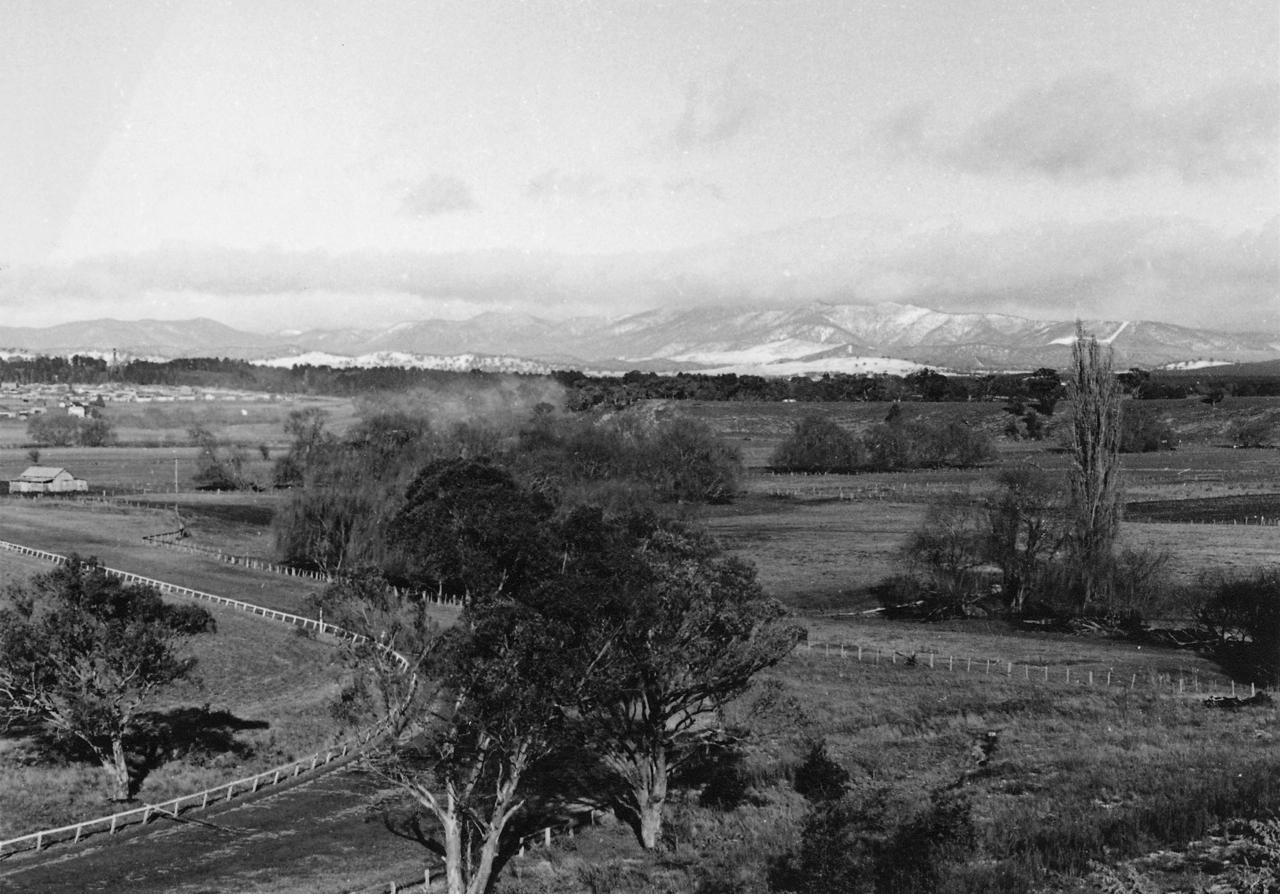 NW corner of the racecourse with Kaye's woolshed