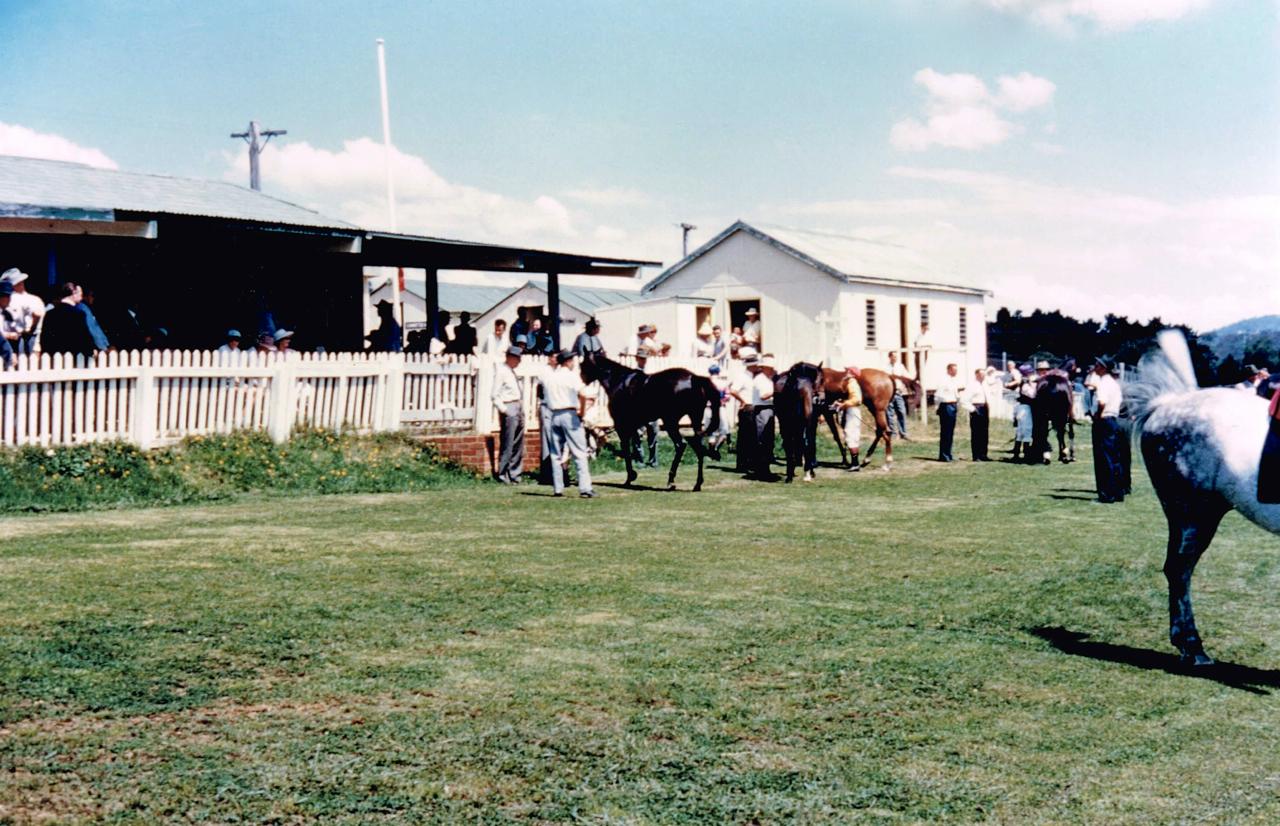 Horse owners and trainers at the racecourse (no.1)