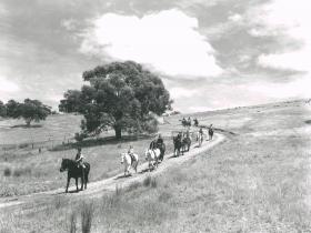 Large group of children riding towards Kaye's Dairy