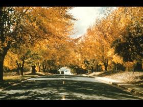 Driving down to Lennox Crossing in Autumn