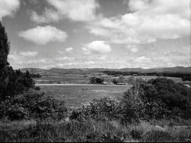 View to Acton racecourse, sports grounds and Kayes dairy