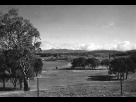 John Henshaw overlooking the racecourse 